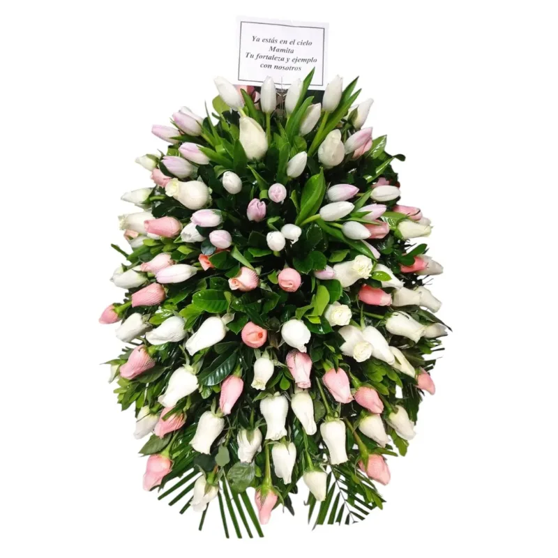 Manto de ataúd elaborado con 50 rosas importadas, 20 tulipanes y follaje